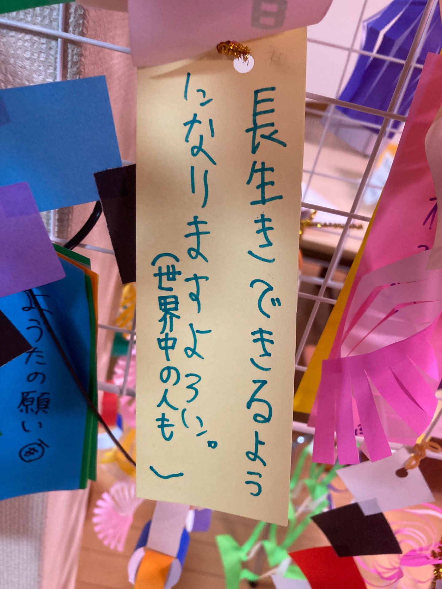bef50957c8aac77f4d7d6561e4b226d4-1752019350.jpg