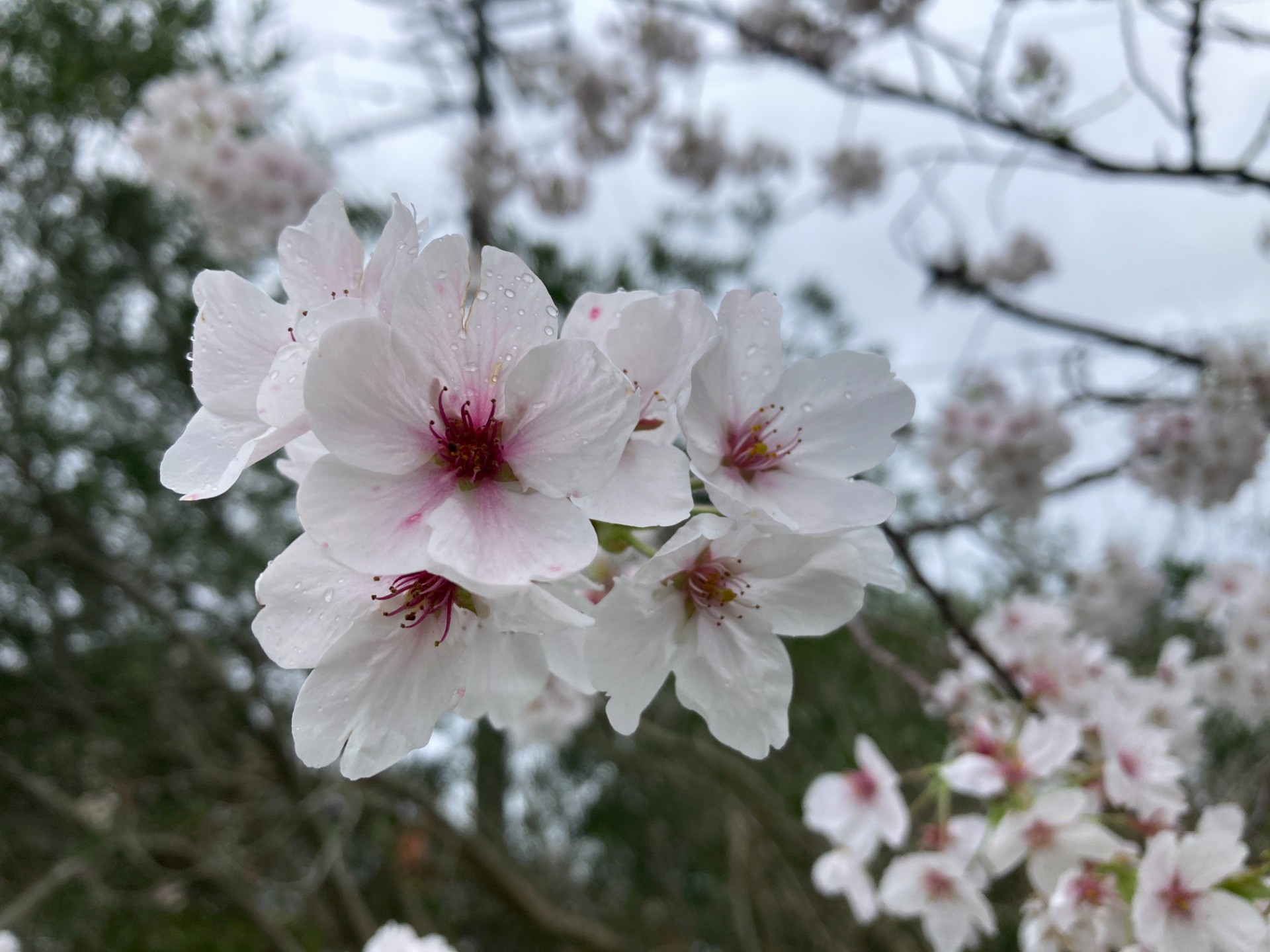 春休みのお知らせ