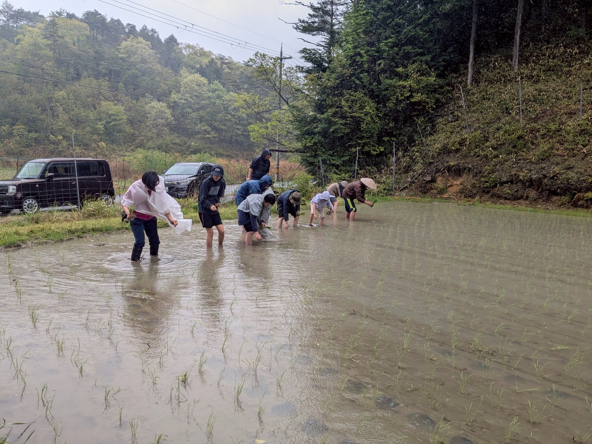 雨もたのしいやん