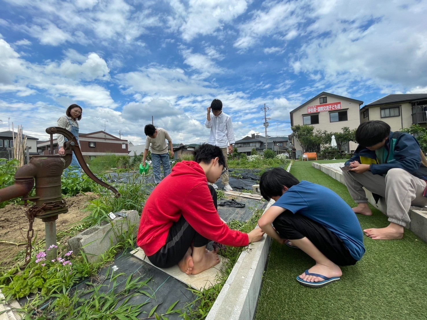 サツマイモを植えたよ。