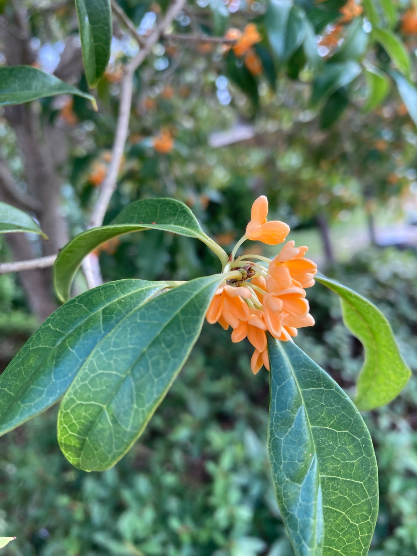 失敗を奪わない