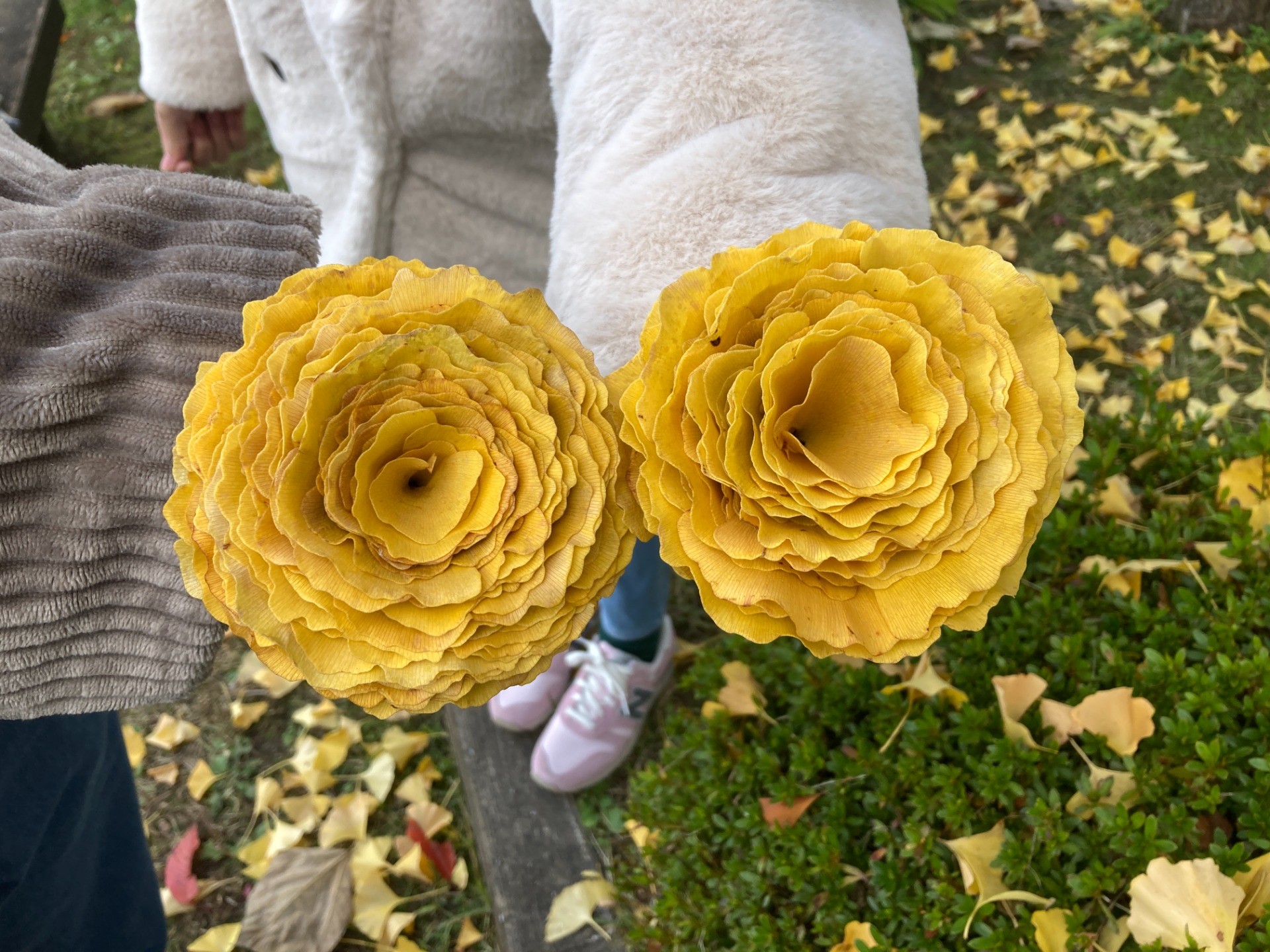 季節を楽しむ、自然を味わう