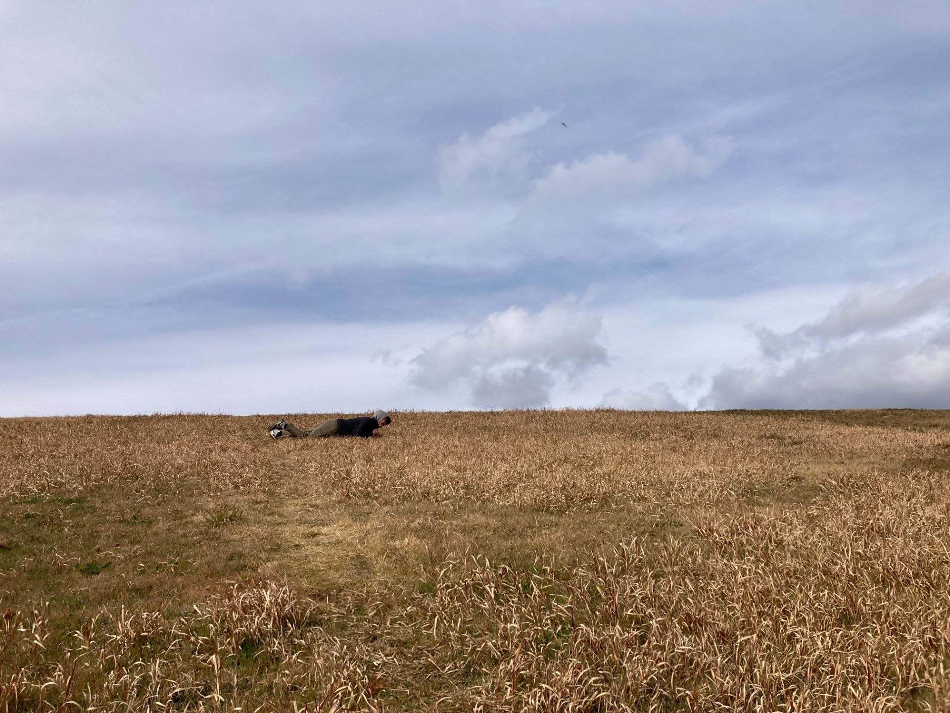 ぽちゃぽちゃというのはたらぬから