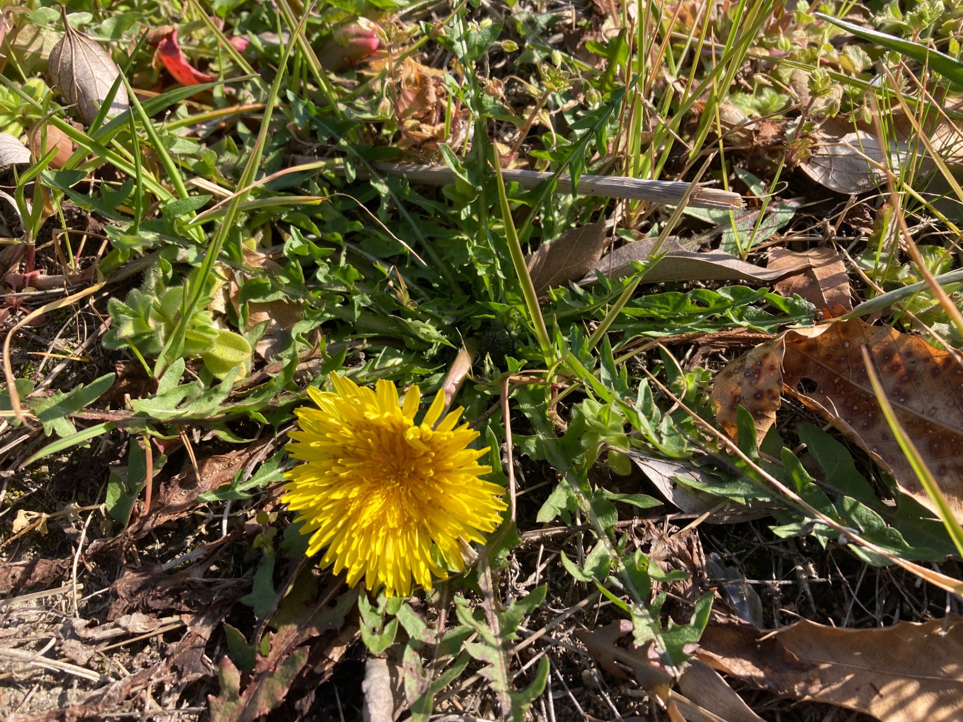 ムダなことをする楽しみをとっても大事にしている子どもたちの居場所なのだ
